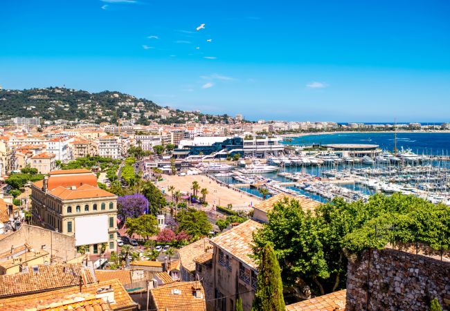 Frühlingserwachen an der Côte d'Azur